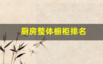 整体橱柜前十名-厨房整体橱柜排名