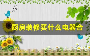 厨房装修哪些电器-厨房装修买什么电器合适最好比较好推荐