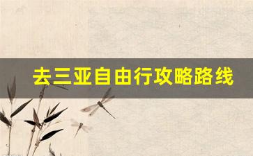 去三亚自由行攻略路线-去三亚攻略百度知道