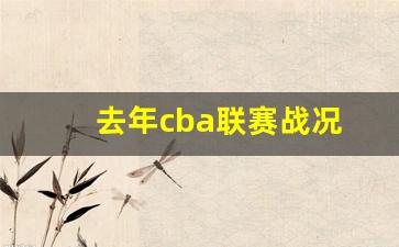 cba历年比赛地点-去年cba联赛战况