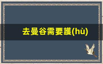 去曼谷需要護(hù)照嗎(去曼谷需要護(hù)照嗎現(xiàn)在怎么辦)