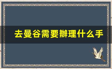 去曼谷需要辦理什么手續(xù)(去曼谷需要隔離嗎)