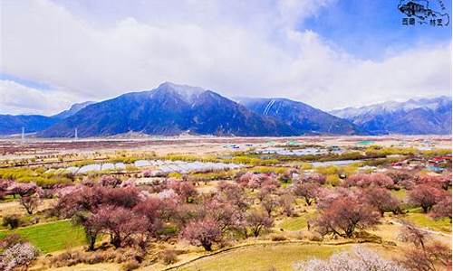 去林芝旅游攻略_去林芝旅游攻略路线