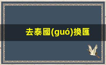 去泰國(guó)換匯用什么銀行卡(泰國(guó)換匯攻略)