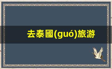 去泰國(guó)旅游帶哪個(gè)銀行卡(去泰國(guó)旅游帶什么信用卡)