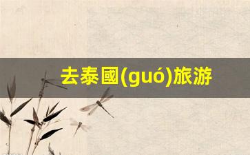 去泰國(guó)旅游注意事項(xiàng)(去泰國(guó)旅游注意事項(xiàng)和細(xì)節(jié))