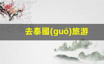 泰國(guó)旅行遇銀行卡凍結(jié)，緊急應(yīng)對(duì)攻略及解決方案全解析