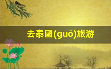 泰國(guó)旅游必備攻略，護(hù)照銀行卡一樣不能少，出行準(zhǔn)備全解析