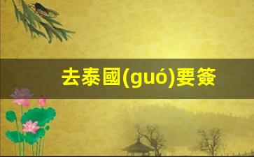 泰國(guó)簽證攻略，老撾公民入境泰國(guó)簽證政策詳解