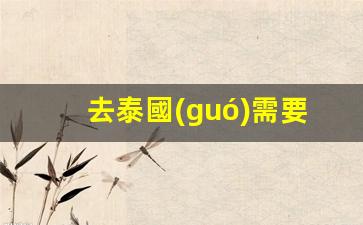 去泰國(guó)需要辦理什么手續(xù)才能去(去泰國(guó)流量怎么辦理)
