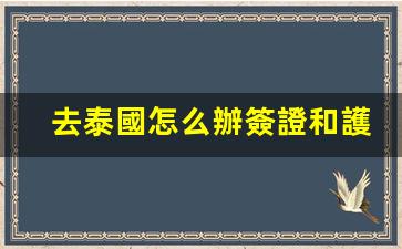 去泰國怎么辦簽證和護(hù)照(去泰國怎么辦簽證和護(hù)照手續(xù))