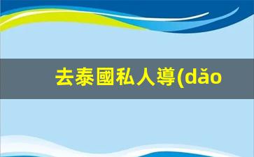 去泰國私人導(dǎo)游(去泰國私人導(dǎo)游要多少錢)
