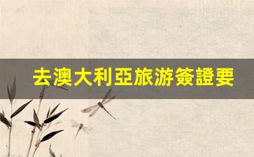 澳大利亞旅游簽證辦理時長及詳細申請流程揭秘