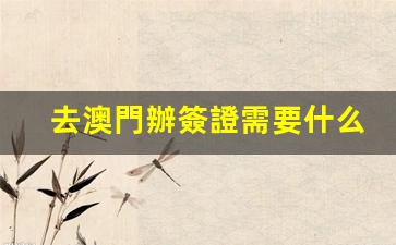 澳門簽證辦理攻略，最新政策及所需手續(xù)全解析