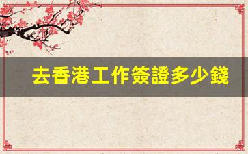去香港工作簽證多少錢(qián)一年(香港工作簽證政策)