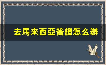 馬來西亞簽證辦理全攻略，詳細流程解析及申請步驟詳解