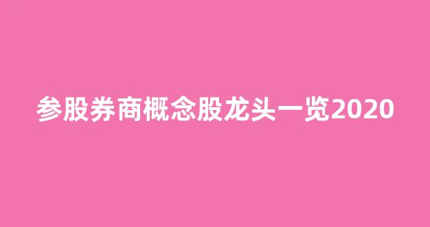 参股券商概念股龙头一览2020(小米汽车概念股龙头一览)_https://www.heiljjianzu.com_北交所_第1张