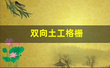 双向土工格栅_https://www.heiljjianzu.com_科创板_第1张