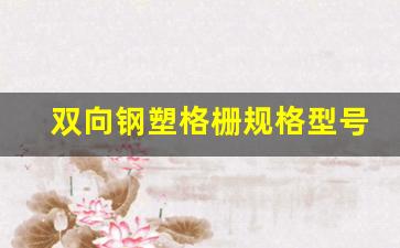 双向钢塑格栅规格型号(双向钢塑格栅价格)_https://www.syklpowerbike.com_上交所_第1张