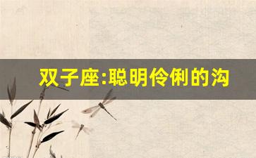 双子座:聪明伶俐的沟通高手