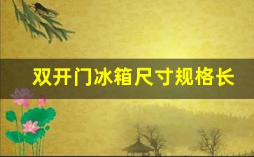 双开门冰箱尺寸多大-双开门冰箱尺寸规格长宽高