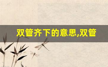 双管齐下的意思,双管齐下的近义词反义词,双管齐下造句例句,双管齐下出处及解释-第1张图片-我的生活随想
