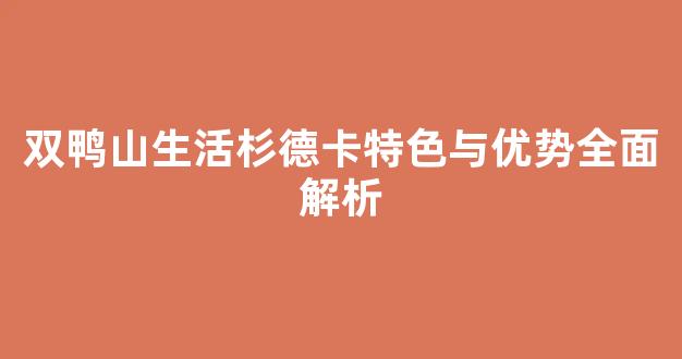 双鸭山生活杉德卡特色与优势全面解析