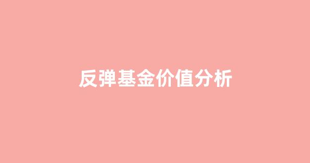 反弹基金价值分析_基金说的反弹是什么意思
