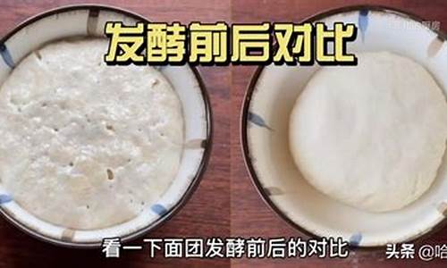 发了酵的面粉打一生肖_发酵后的面食有哪些