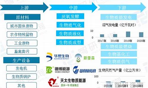 生物质能源发展的机遇与挑战,发展生物质能以及相关的新能源汽车产业