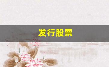 发行股票(发行股票资本公积怎么计算出来的)_https://www.luoxuangg888.com_深交所_第1张