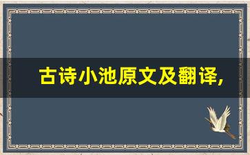 古诗小池原文及翻译,古诗小池全文,古诗小池翻译,古诗小池全诗解析-第1张图片-我的生活随想