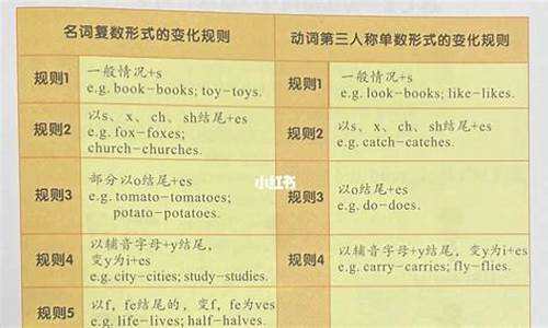 句子复数形式变化规则_句子变复数变化规则