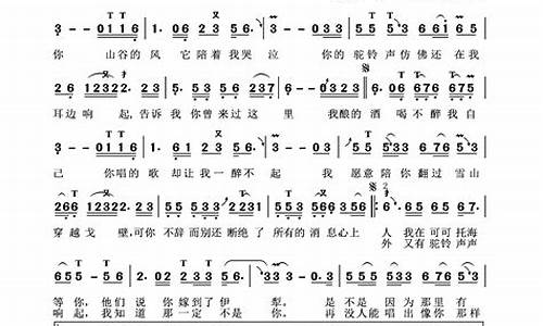 可可托海的牧羊人歌词完整歌词曲谱打印版_可可托海的牧羊人歌词卜