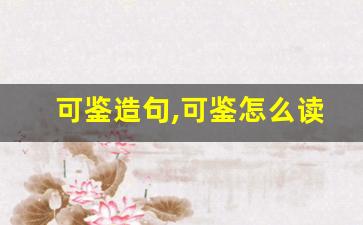 可鉴造句,可鉴怎么读,可鉴的意思,可鉴的组词-第1张图片-我的生活随想