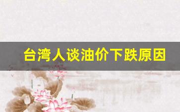 台湾人谈油价下跌原因-台湾汽油价格是多少人民币