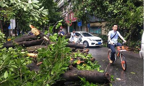 台风过后中国天气如何变暖的_台风过后中国天气如何变暖