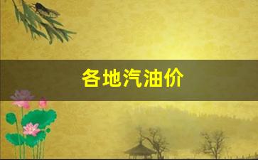 各地汽油价_各地汽油价格为什么不一样