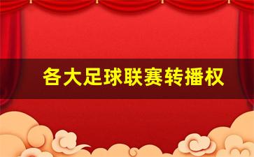 如何开发足球赛事转播权的价值?-各大足球联赛转播权
