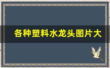各种塑料水龙头图片大全(塑料水龙头型号规格)_https://www.gfdzclz.com_深交所_第1张