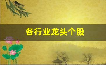 各行业龙头个股(各行业的龙头股票有哪些2020)_https://www.syklpowerbike.com_深交所_第1张