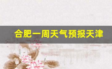 小度小度合肥一周天气预报_合肥一周天气预报天津市二手房信息最新消息