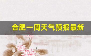 查一下合肥一周天气预报_合肥一周天气预报最新情况查询结果