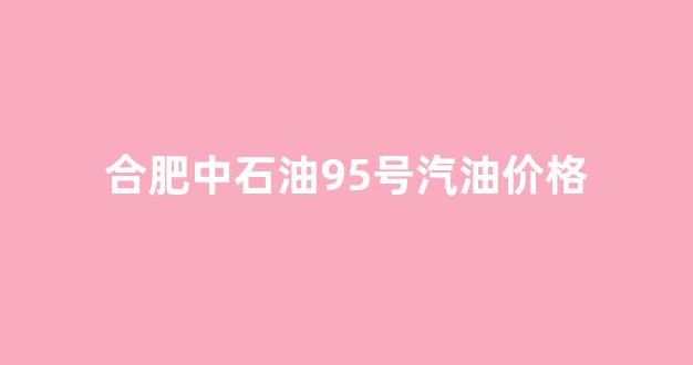 合肥中石油95号汽油价格_合肥中石油95是乙醇汽油吗