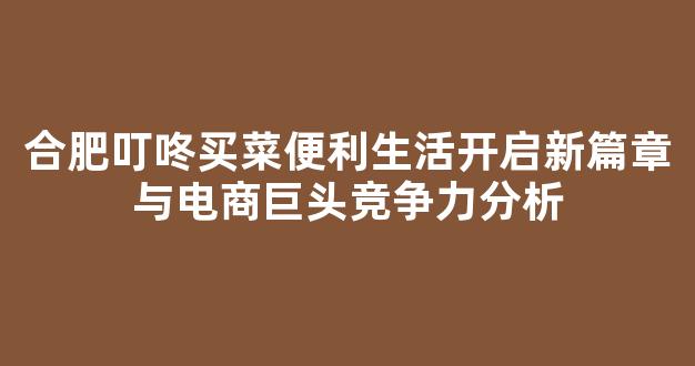 合肥叮咚买菜便利生活开启新篇章与电商巨头竞争力分析