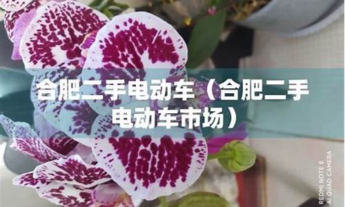 合肥哪里卖二手车比较好点,合肥哪里有售二手车的市场