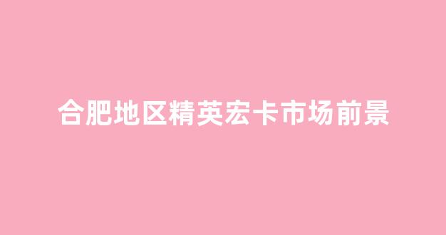 合肥地区精英宏卡市场前景