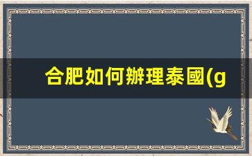 合肥如何辦理泰國(guó)銀行卡(合肥 泰國(guó))