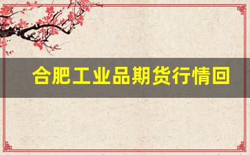 合肥工业品期货行情回顾(合肥工业品期货行情回顾分析)_https://www.gfdzclz.com_创业板_第1张
