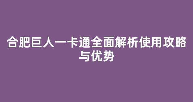 合肥巨人一卡通全面解析使用攻略与优势